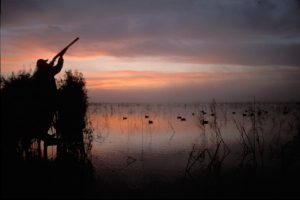 Duck hunter NHDs#065
