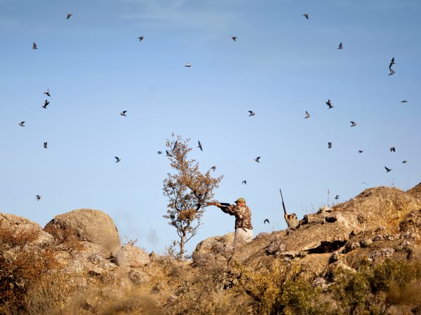 Featured Image For Guayascate Lodge Event